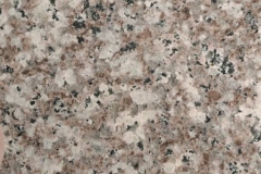 Rosa-Beta-G664